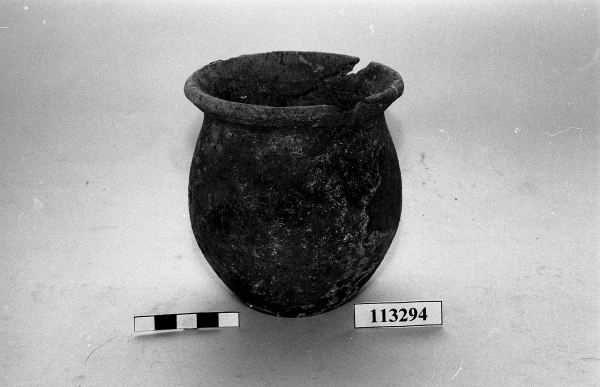 olletta cilindro-ovoide 