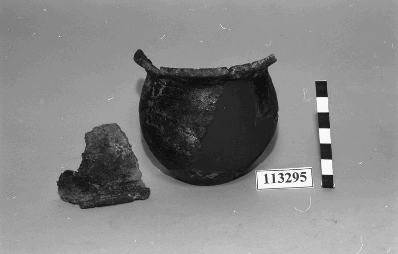 olletta cilindro-ovoide 