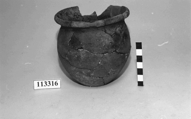 olletta cilindro-ovoide 