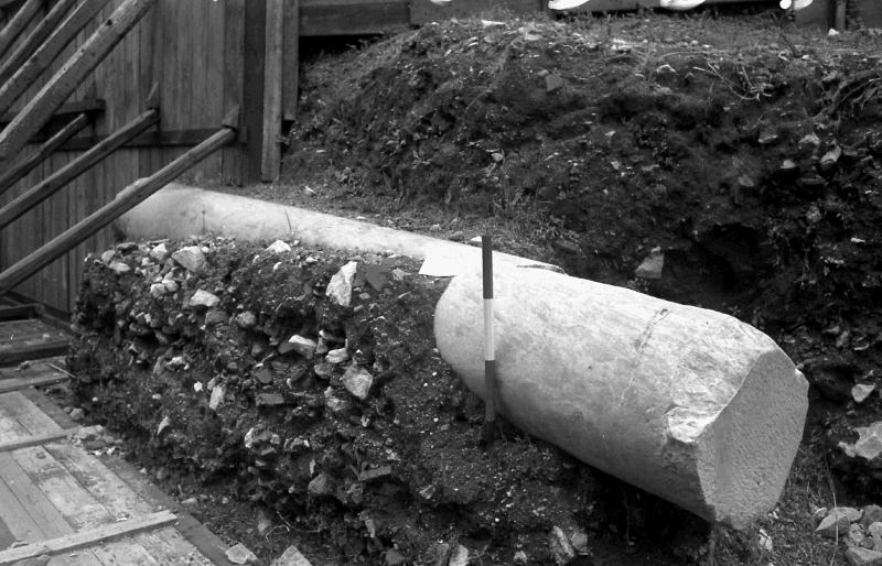 fusto liscio di colonna 