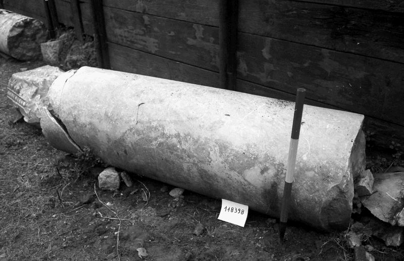 fusto liscio di colonna 