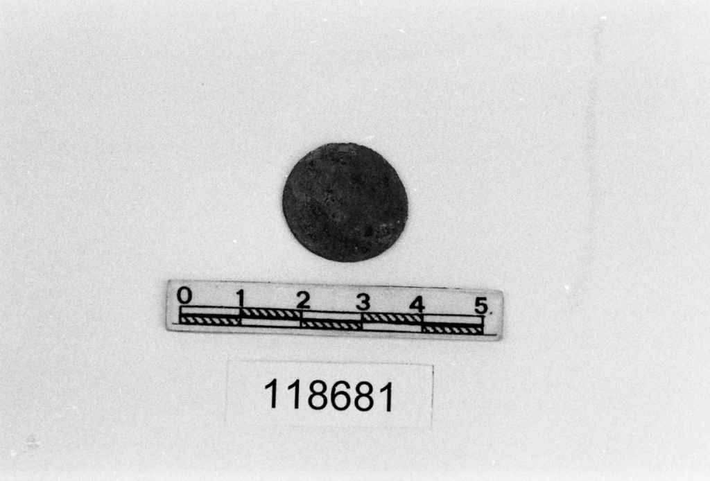 specie monetaria non id 