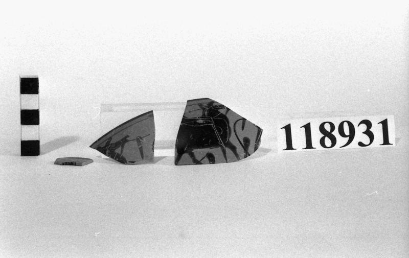 anfora/frammento (VI sec. a.C)