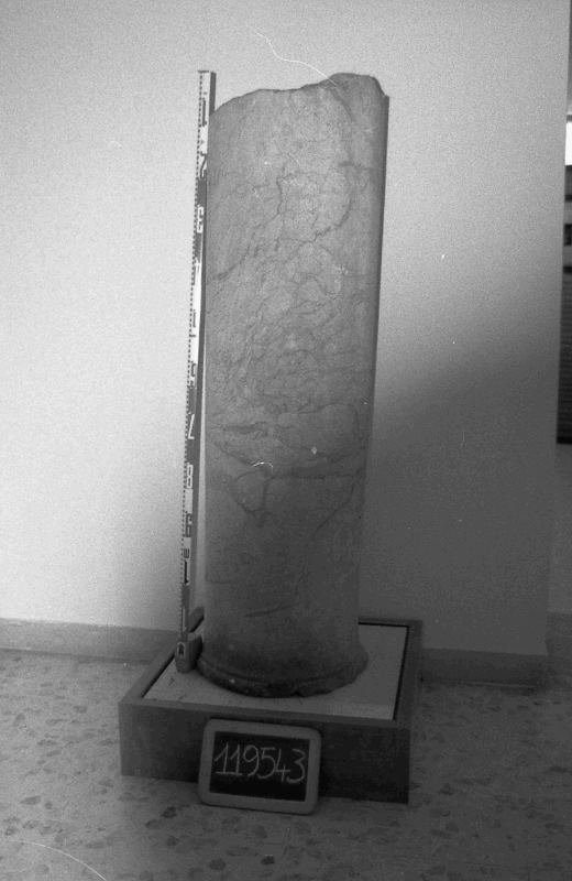fusto liscio di colonna (I sec. a.C.-I sec. d.C)