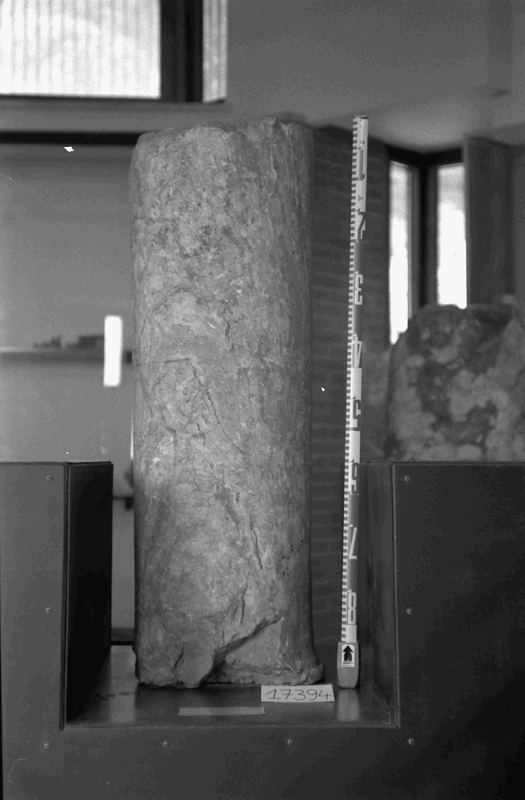 fusto liscio di colonna/frammento (I sec. a.C.-I sec. d.C)