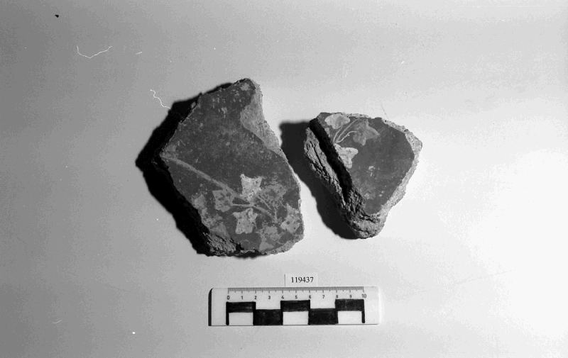 rivestimento ad intonaco/frammento (I sec. a.C)