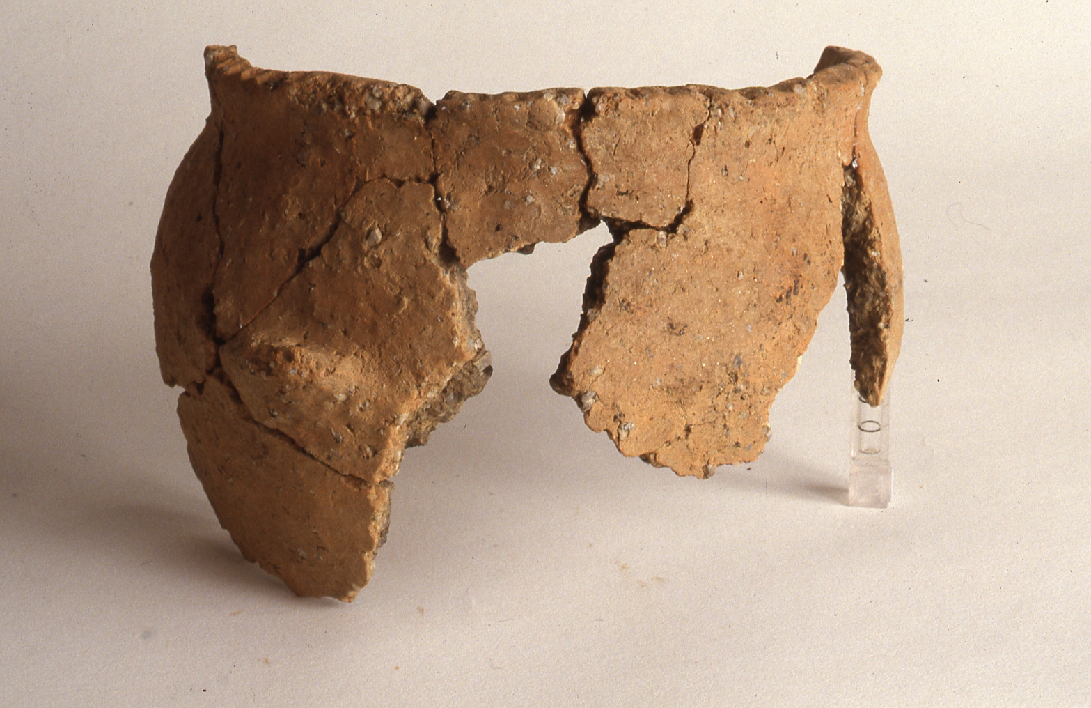 Vaso situliforme/ frammento - culture elvetico occidentali Media età del Bronzo (Media/ tarda età Bronzo)