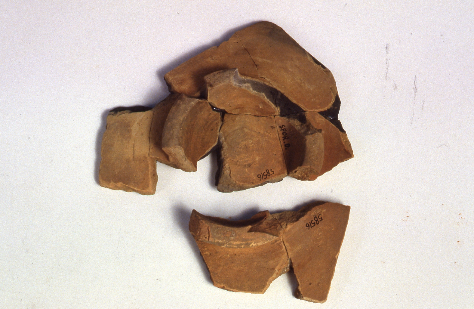 Patera/ frammenti - cultura di La Tène D1/D2 (metà Sec. I a.C)