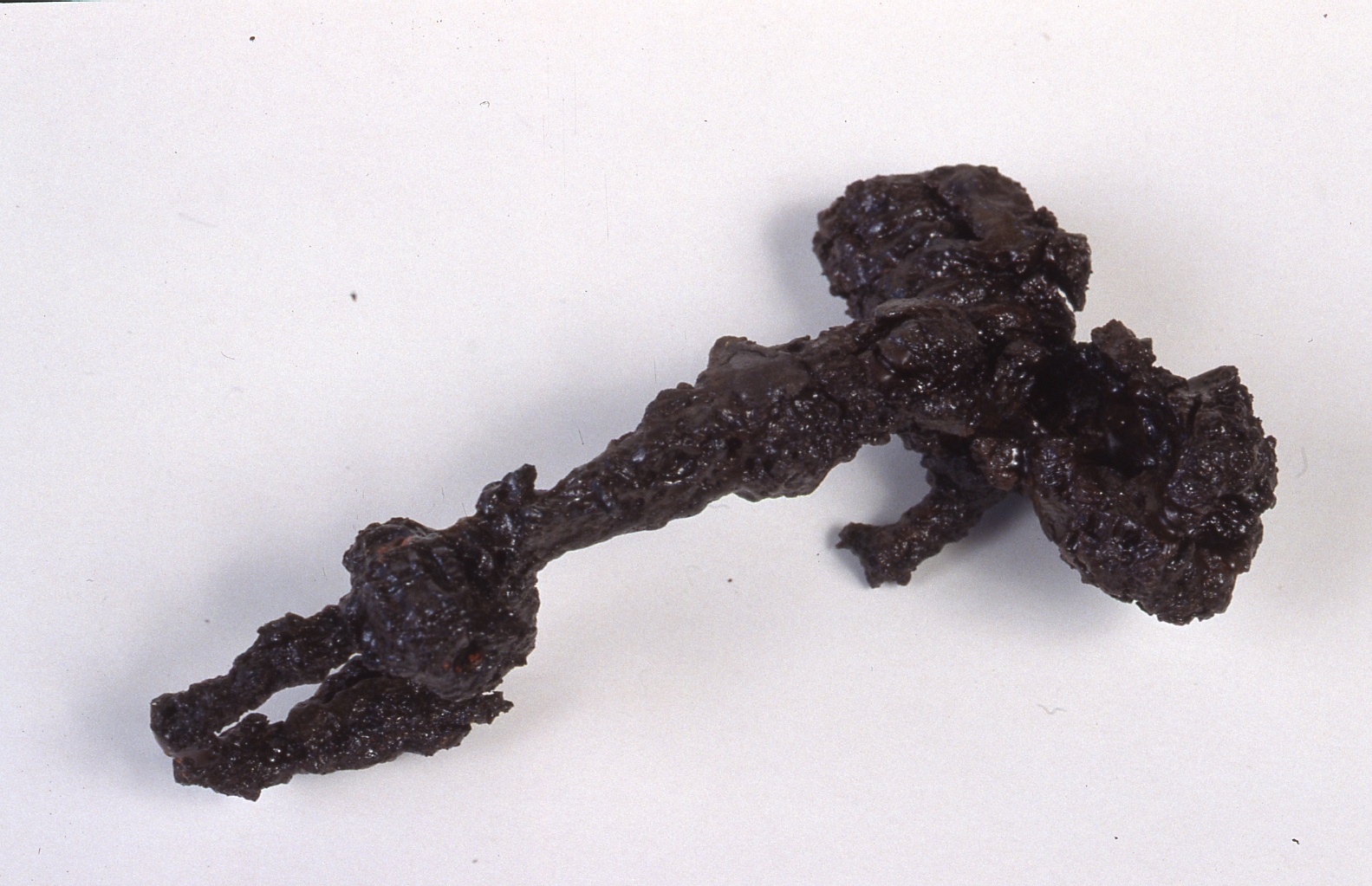 Fibula a schema Medio La Tène, Feugère 1 - cultura di La Tène C 1 (seconda metà Sec. III a. C)