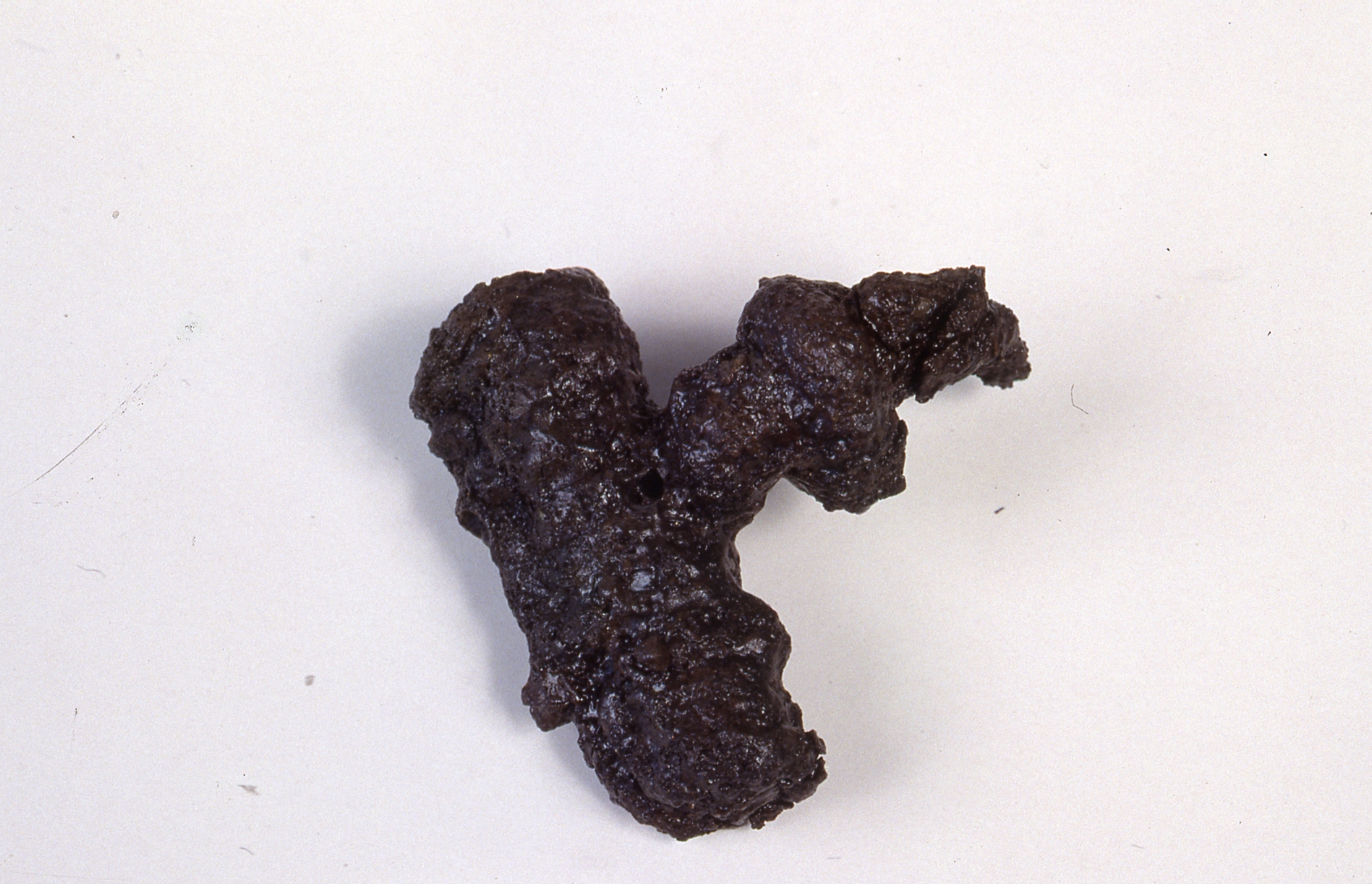 Fibula a schema Medio La Tène/frammento, Feugère 1 - cultura di La Tène C2 (metà Sec. II a.C)