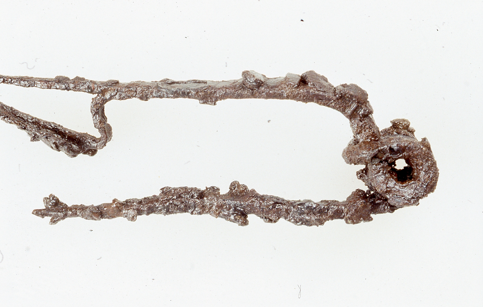 Fibula a schema Medio La Tène, Feugère 2 - cultura di La Tène D (metà Sec. I a.C)
