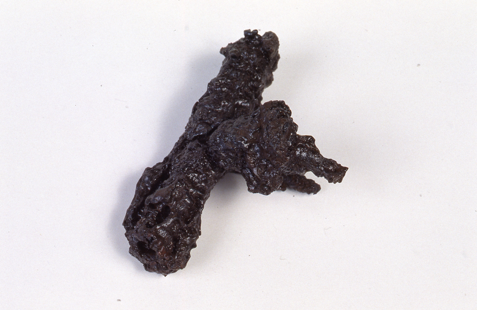 Fibula, Feugère 1 - cultura di La Tène C/D (terzo quarto Sec. II a.C)