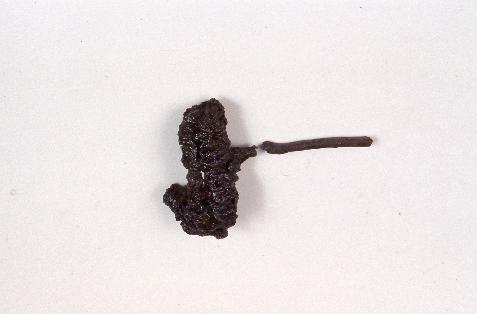 * (Fibula/ frammenti) - cultura di La Tène C/D (terzo quarto Sec. II a.C)