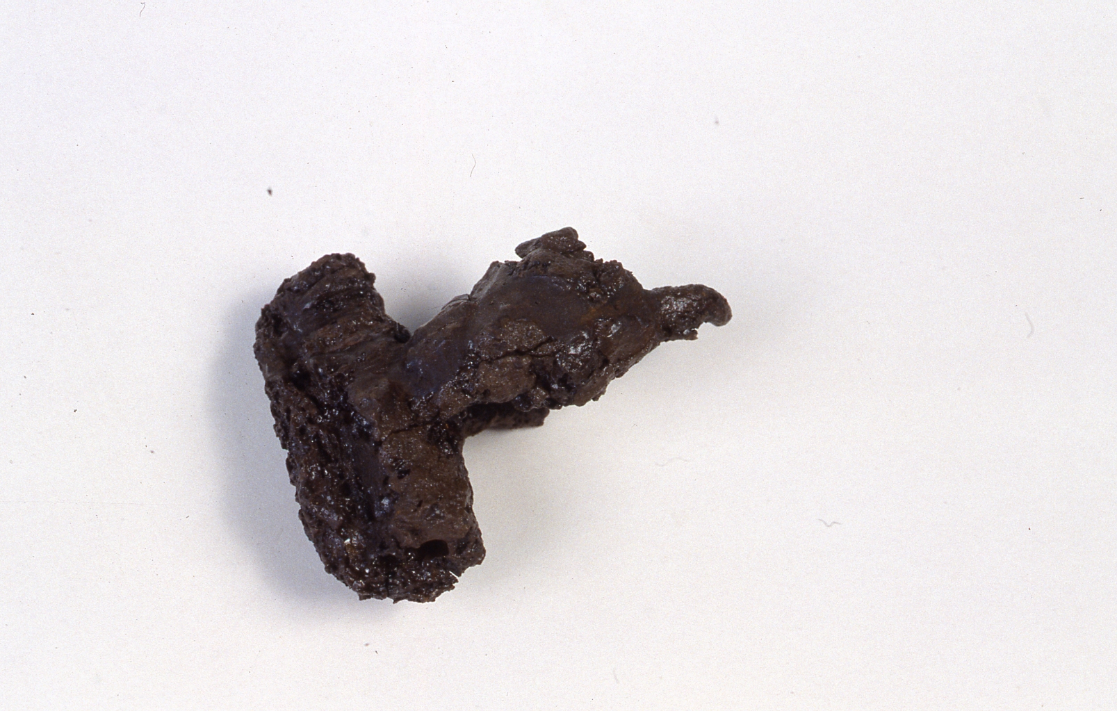 * (Fibula, Feugère 1) - cultura di La Tène C/D (fine Sec. II a.C)