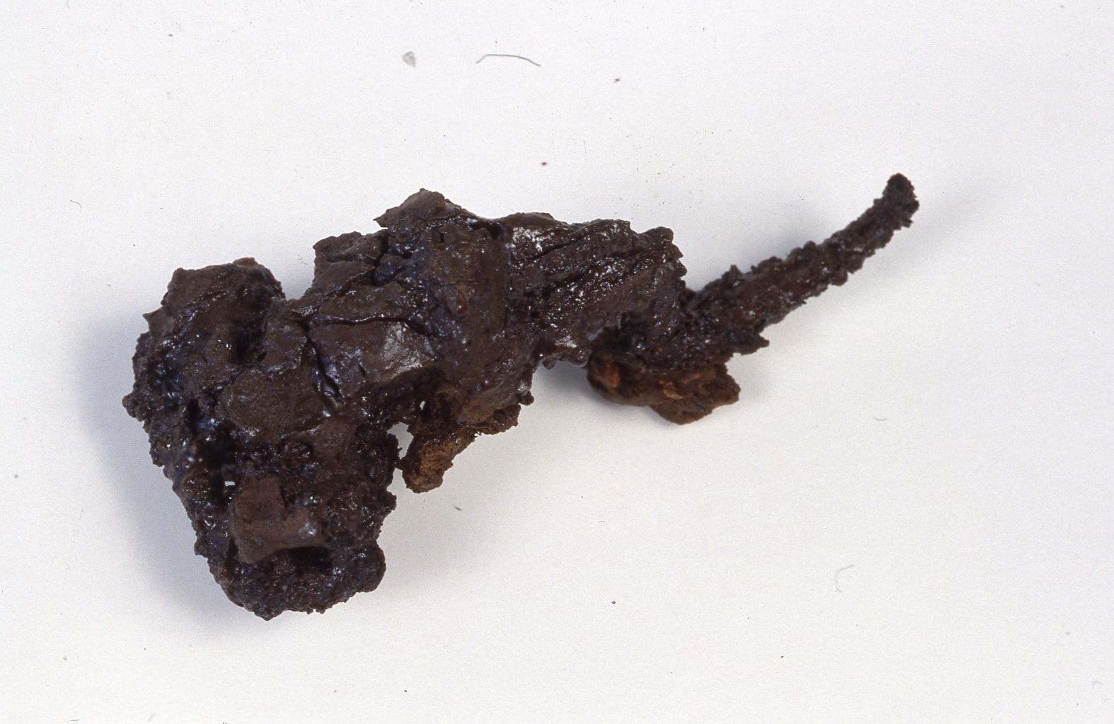 Fibula, Feugère 1 - cultura di La Tène C 2 (prima metà Sec. II a.C)