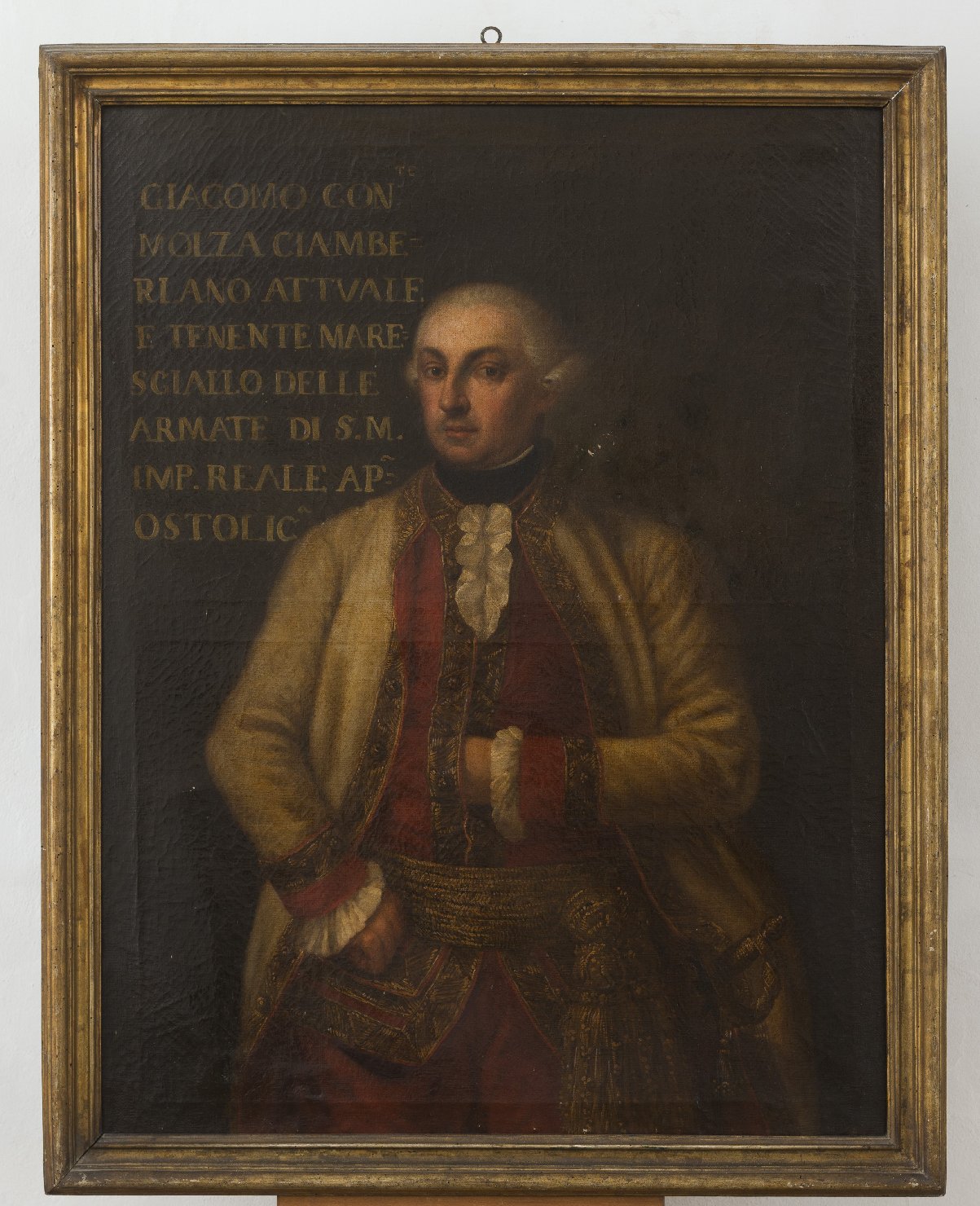 Ritratto di Giacomo Molza (dipinto) - ambito modenese (sec. XVIII)