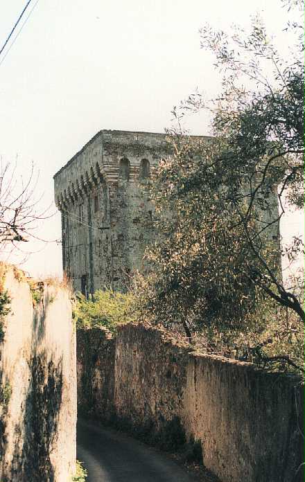 Torre Pertusio (torre, difensiva) - Savona (SV)  (XV, metà)