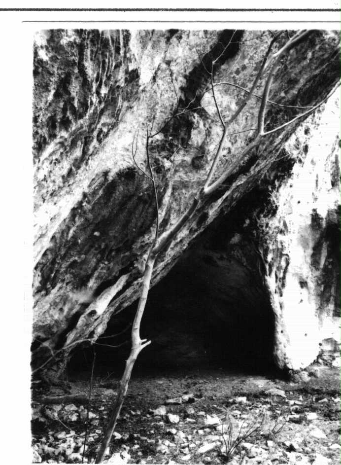 Tane della Merona (grotte) - Toirano (SV) 