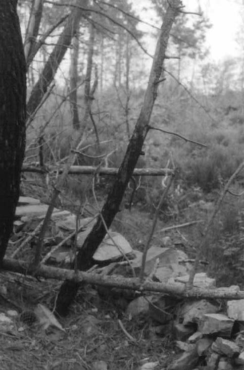 Castello di Onzo (castello, difensivo) - Onzo (SV)  (XII)