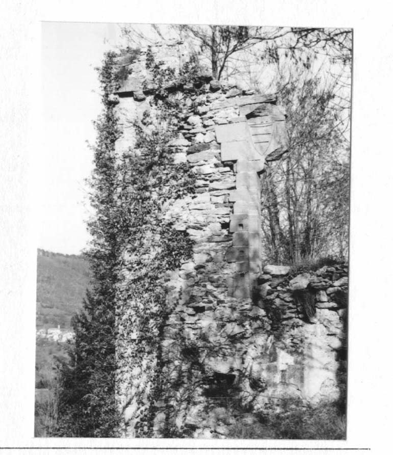 Castello dei Marchesi del Carretto (castello (resti), difensivo/residenziale) - Murialdo (SV)  (XIII)