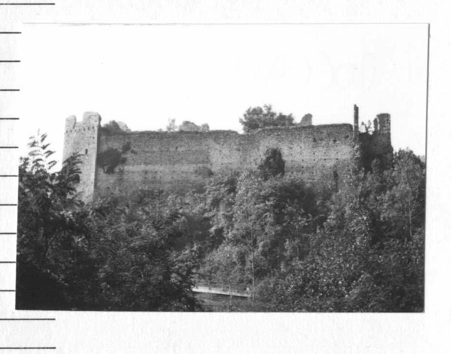 Castello del Carretto (castello (ruderi), difensivo) - Roccavignale (SV)  (XIII, Seconda metà)