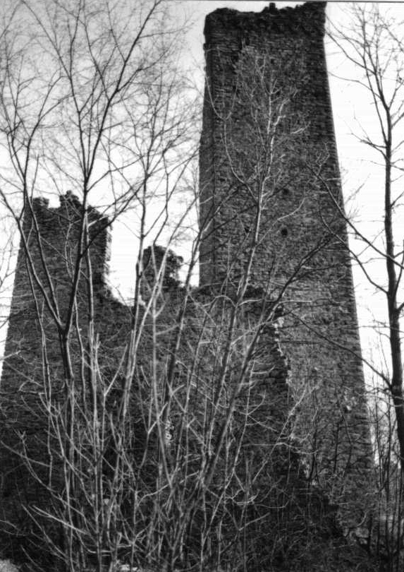 Castello e torre del Carretto (castello) - Cairo Montenotte (SV)  (XIII)