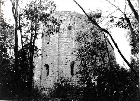 Chiesa di S. Antonino (cappella, rurale) - Finale Ligure (SV)  (XII)