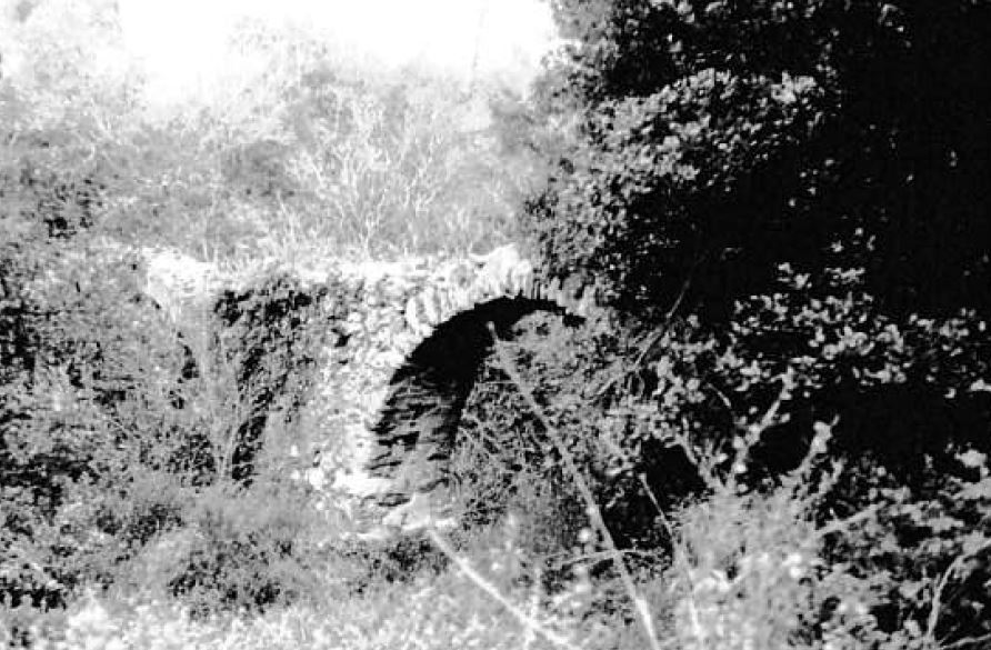 acquedotto (resti), privato - Savona (SV) 