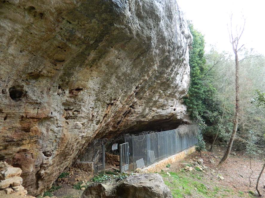 Ripiano di Pian del Ciliegio (giacimento in cavità naturale, frequentazione antropica) - Finale Ligure (SV)  (Neolitico)