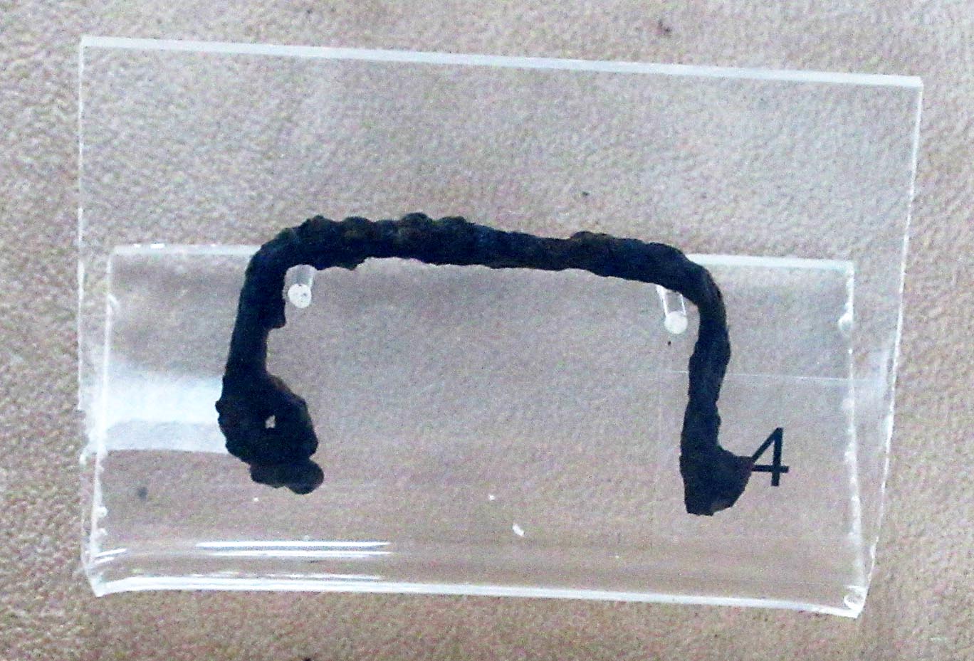 fibula/ ad arco ribassato (fine VI a.C)
