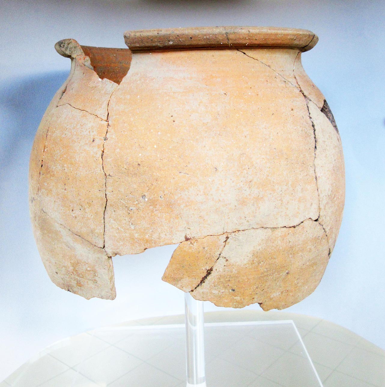 olla - produzione campana (terzo quarto IV a.C)