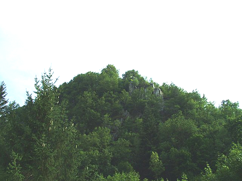 Ruderi del Castello del Borgo (castello) - Garessio (CN) 