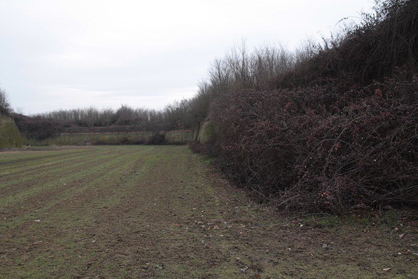 Cittadella, tenaglione davanti alla cortina tra Bast. S. Carlo e S. Barbara (fortezza) - Alessandria (AL)  (XVIII)