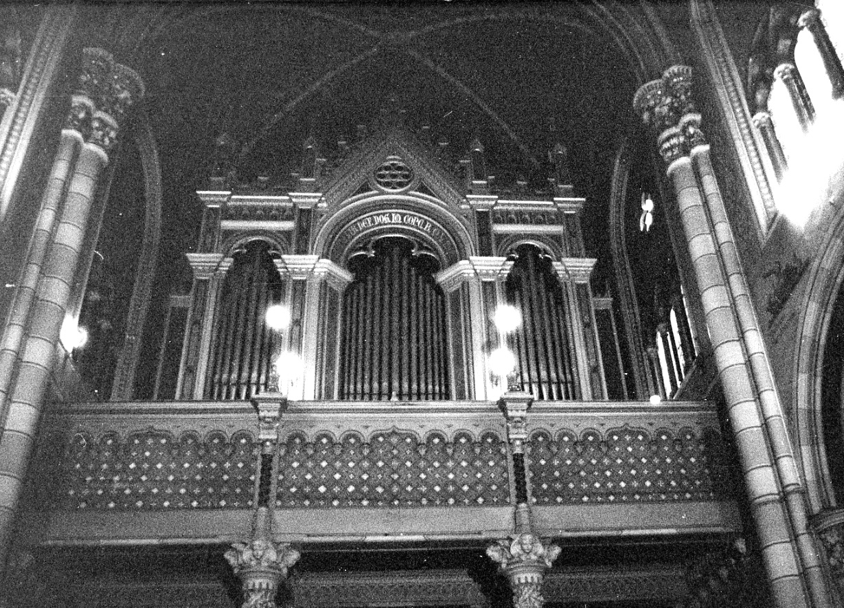 organo (inizio sec. XX)