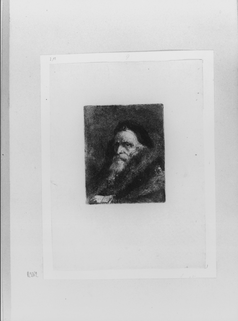 Ritratto di vecchio con mano guantata, testa d'uomo con mano guantata (stampa) di Tiepolo Giovanni Battista, Tiepolo Gian Domenico (sec. XVIII)