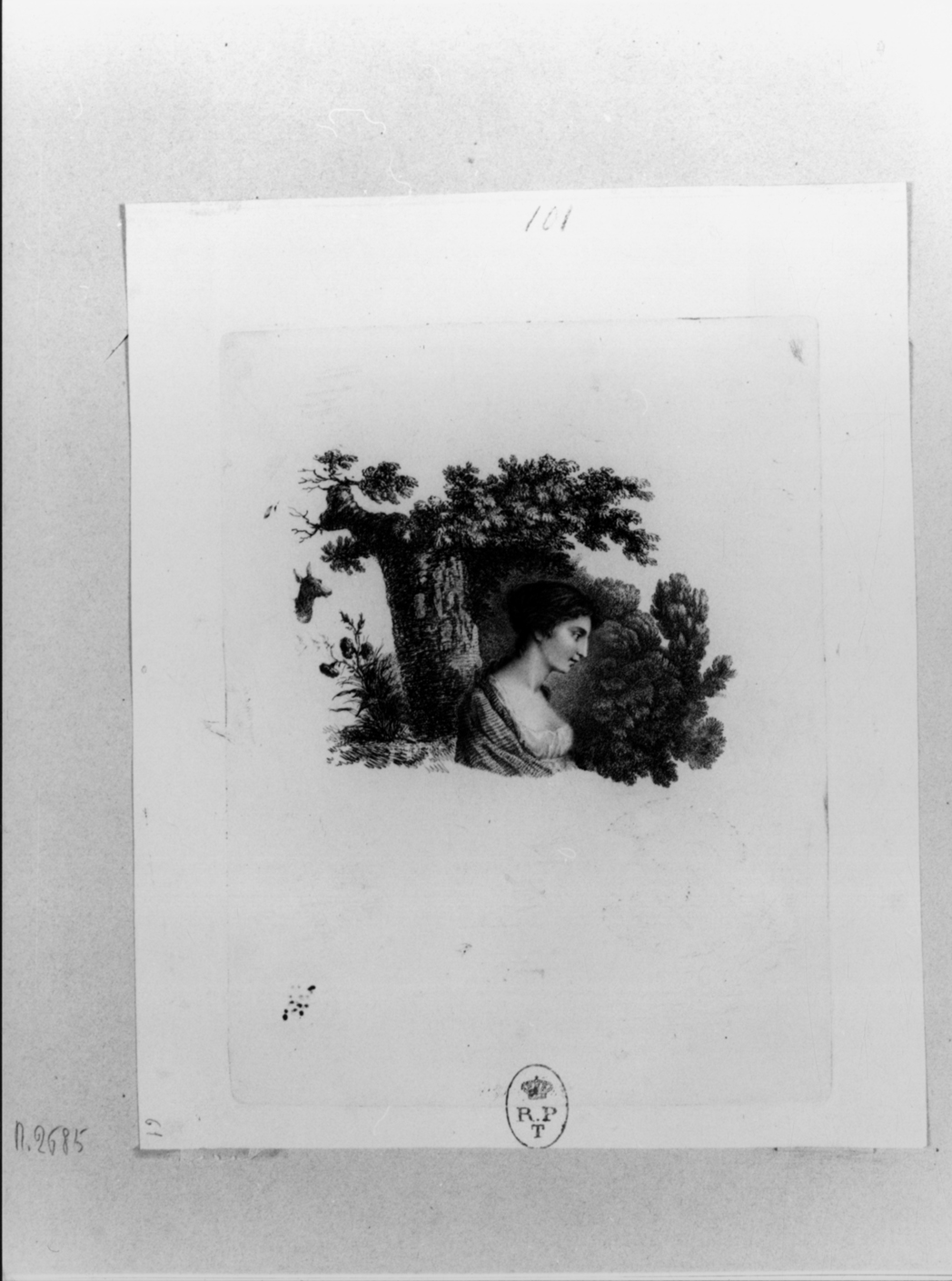 Ritratto a mezzo busto della principessa della Cisterna (stampa, elemento d'insieme) di Breme Filippo marchese di Sartirana (seconda metà sec. XVIII)