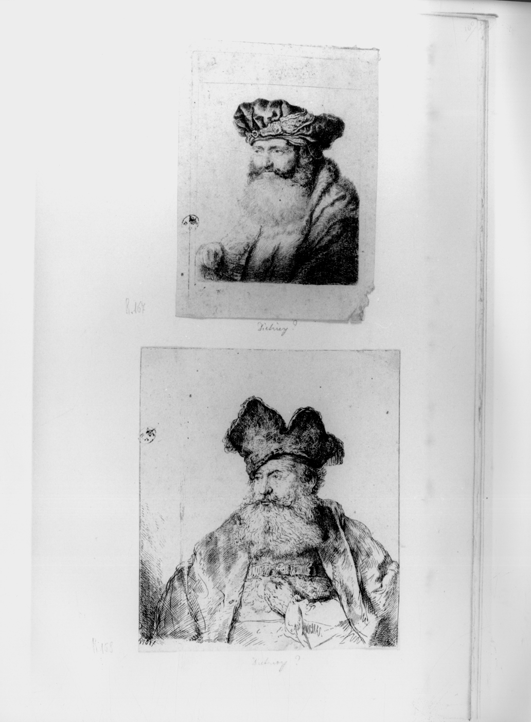 Vecchio con barba, testa di vecchio con barba (stampa smarginata) di Dietrich Cristiano - ambito tedesco (terzo quarto sec. XVIII)