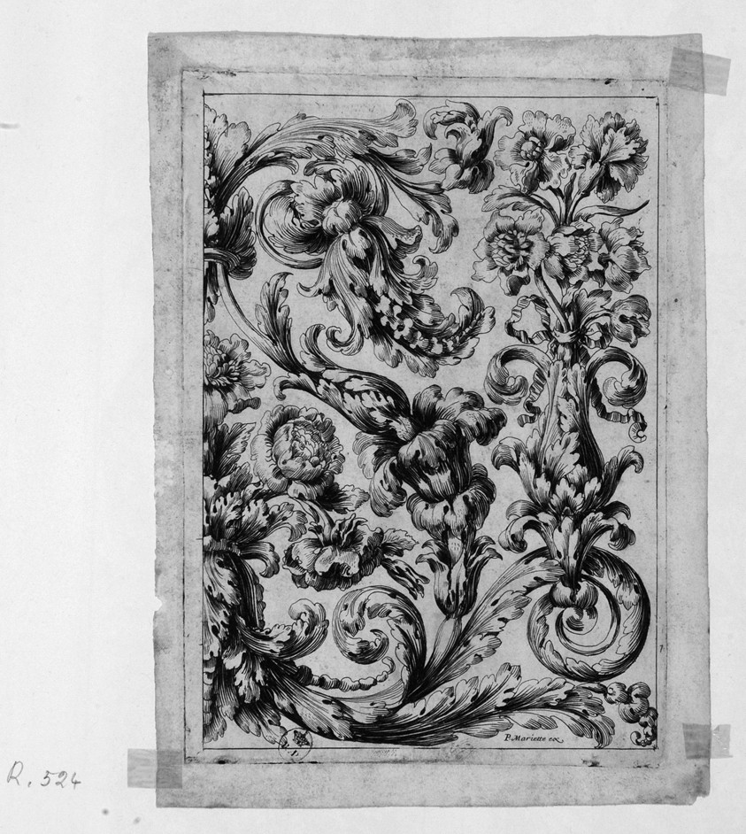 Decorazioni, motivi decorativi vegetali (stampa) - ambito francese (prima metà sec. XVIII)