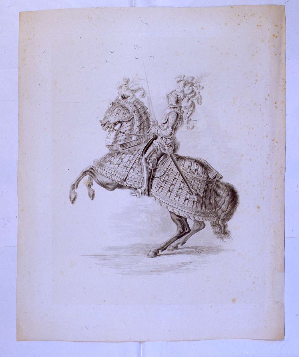Armatura di Tour e Taxis, profilo, armature (stampa, elemento d'insieme) di Meucci Primo Feliciano (seconda metà sec. XIX)