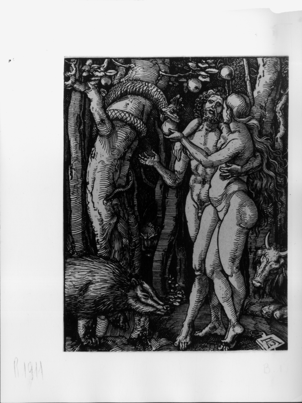 Eva prende il frutto dal serpente, Eva prende il frutto dal serpente (stampa smarginata) di Durer Albrecht, Deis Carl August - ambito tedesco (terzo quarto sec. XIX)