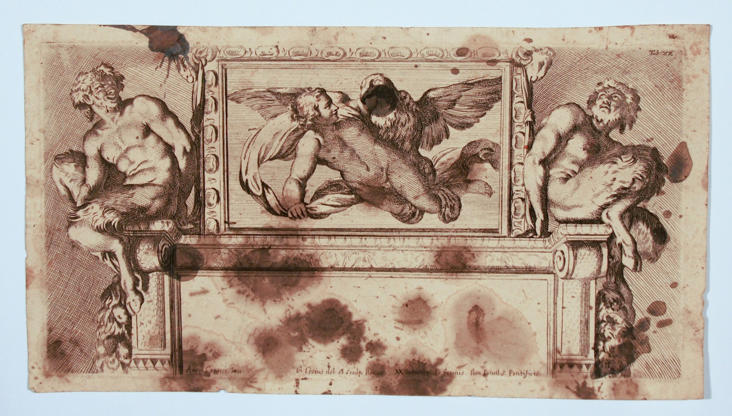 Gianimede e l'aquila di Giove (stampa) di Carracci Annibale, Cesi Carlo (metà sec. XVIII)