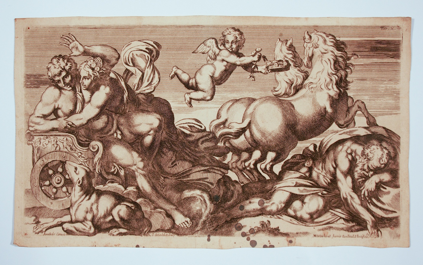 Aurora e Cefalo (stampa, serie) di Carracci Annibale, Cesi Carlo (metà sec. XVIII)