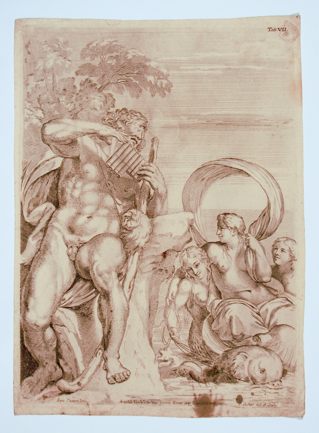 Polifemo e Galatea (stampa, serie) di Carracci Annibale, Cesi Carlo (metà sec. XVIII)
