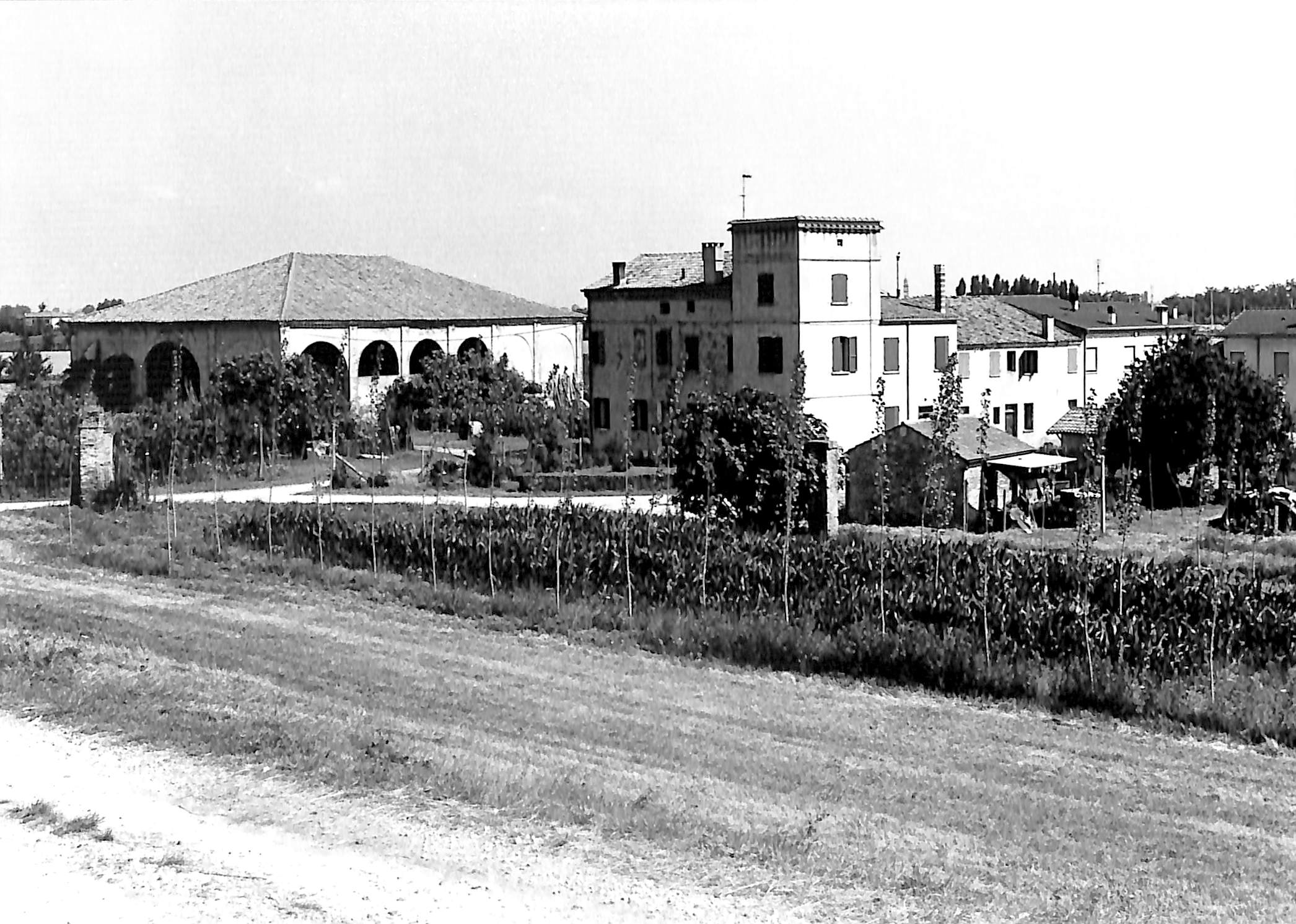 Corte Bosco Papino-Ca' Polesine (corte, rurale) - Ficarolo (RO)  (XVI, metà)