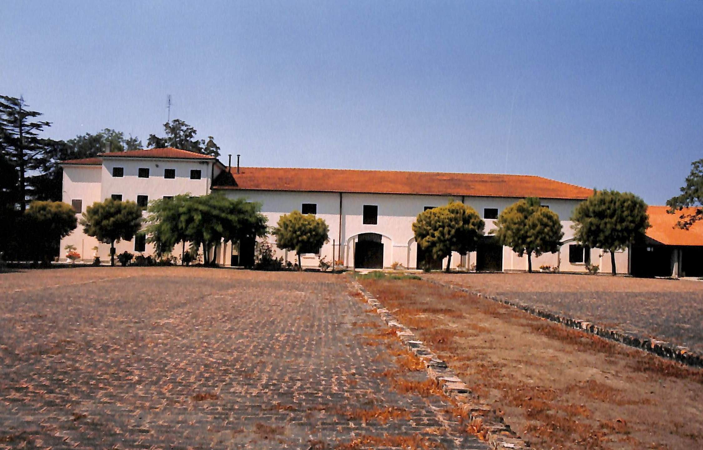 Corte Ca' Pesara (corte, padronale) - Porto Viro (RO) 