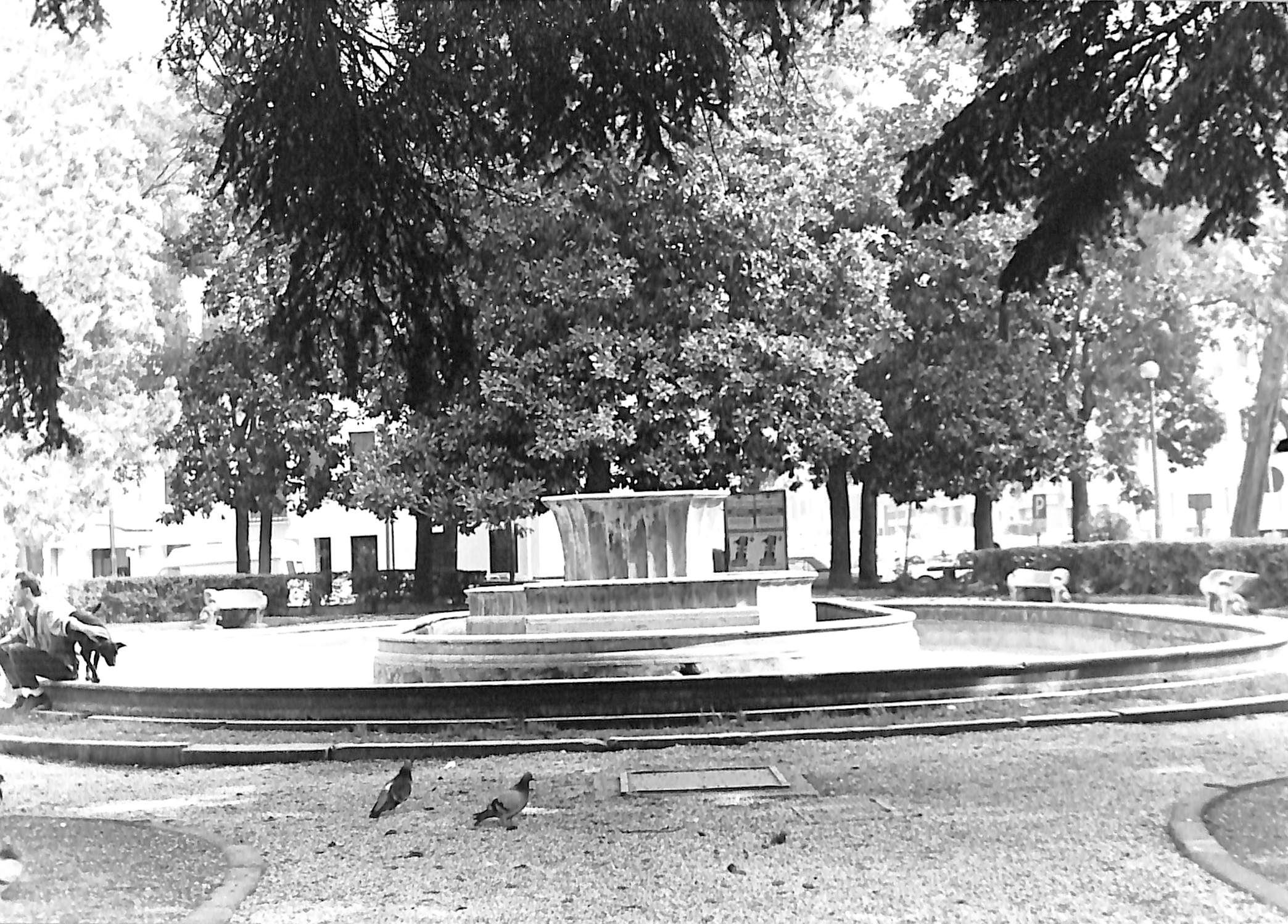 Fontana di Piazza Merlin (fontana) - Rovigo (RO)  (XX)