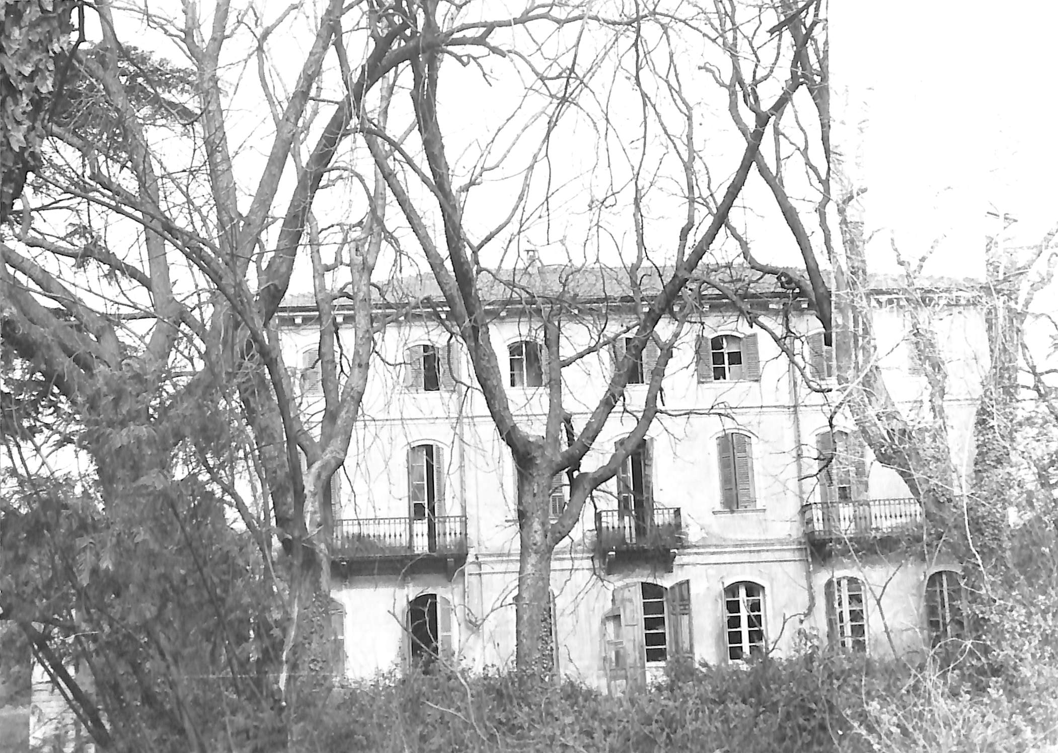 Villa Cogo (villa) - Verona (VR)  (XIX)