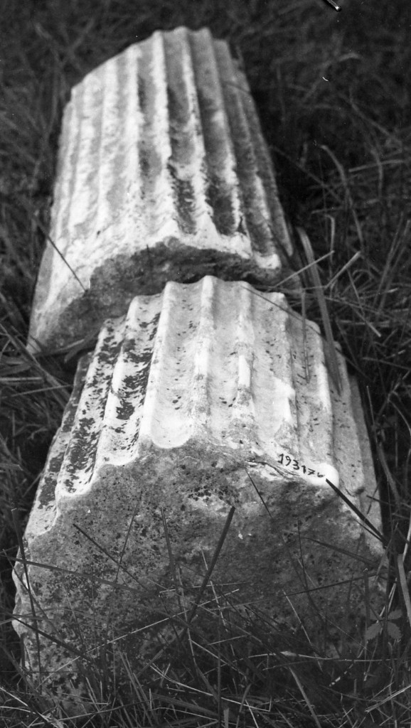 colonna (non determinabile)