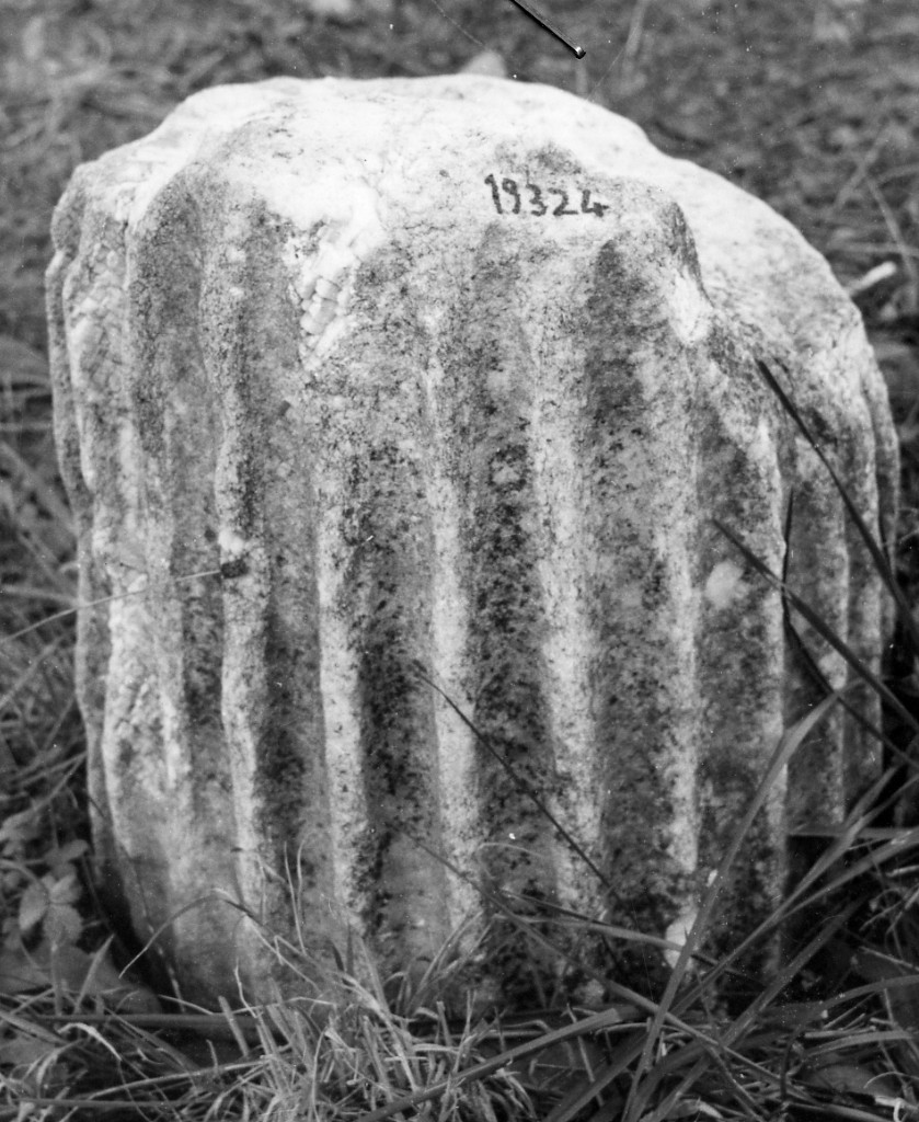 colonna (non determinabile)