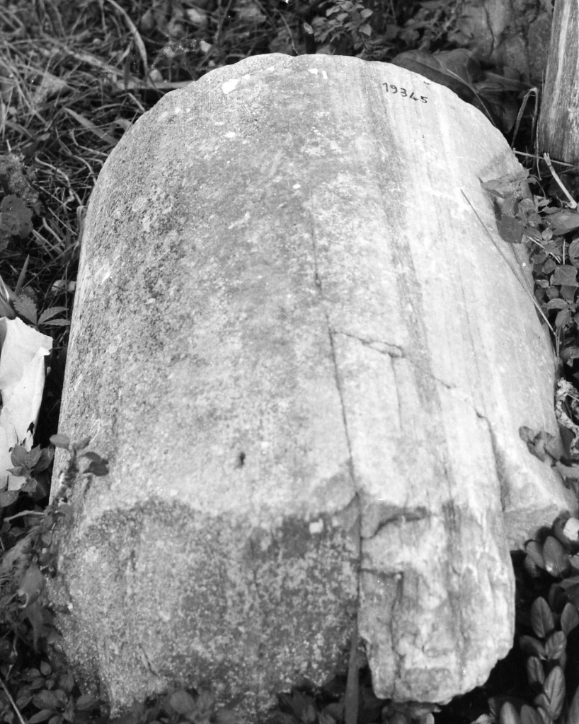 colonna (non determinabile)